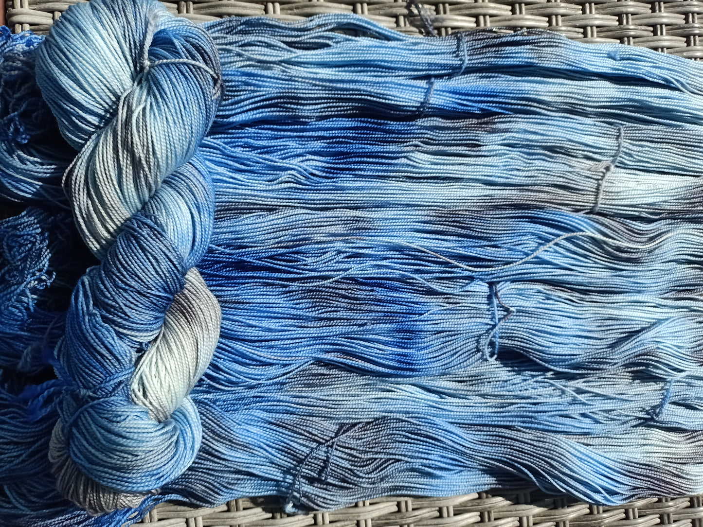 Blue Aster